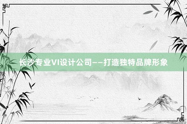 长沙专业VI设计公司——打造独特品牌形象