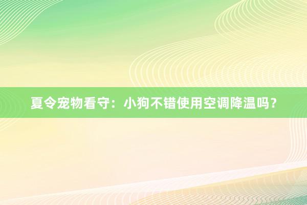 夏令宠物看守：小狗不错使用空调降温吗？