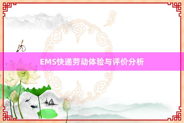 EMS快递劳动体验与评价分析